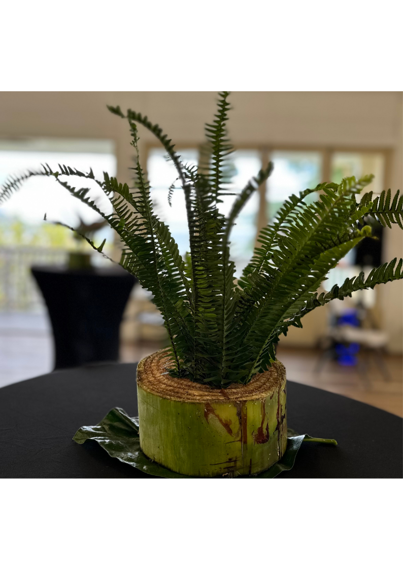 Farm Fresh Florals - KUPUKUPU