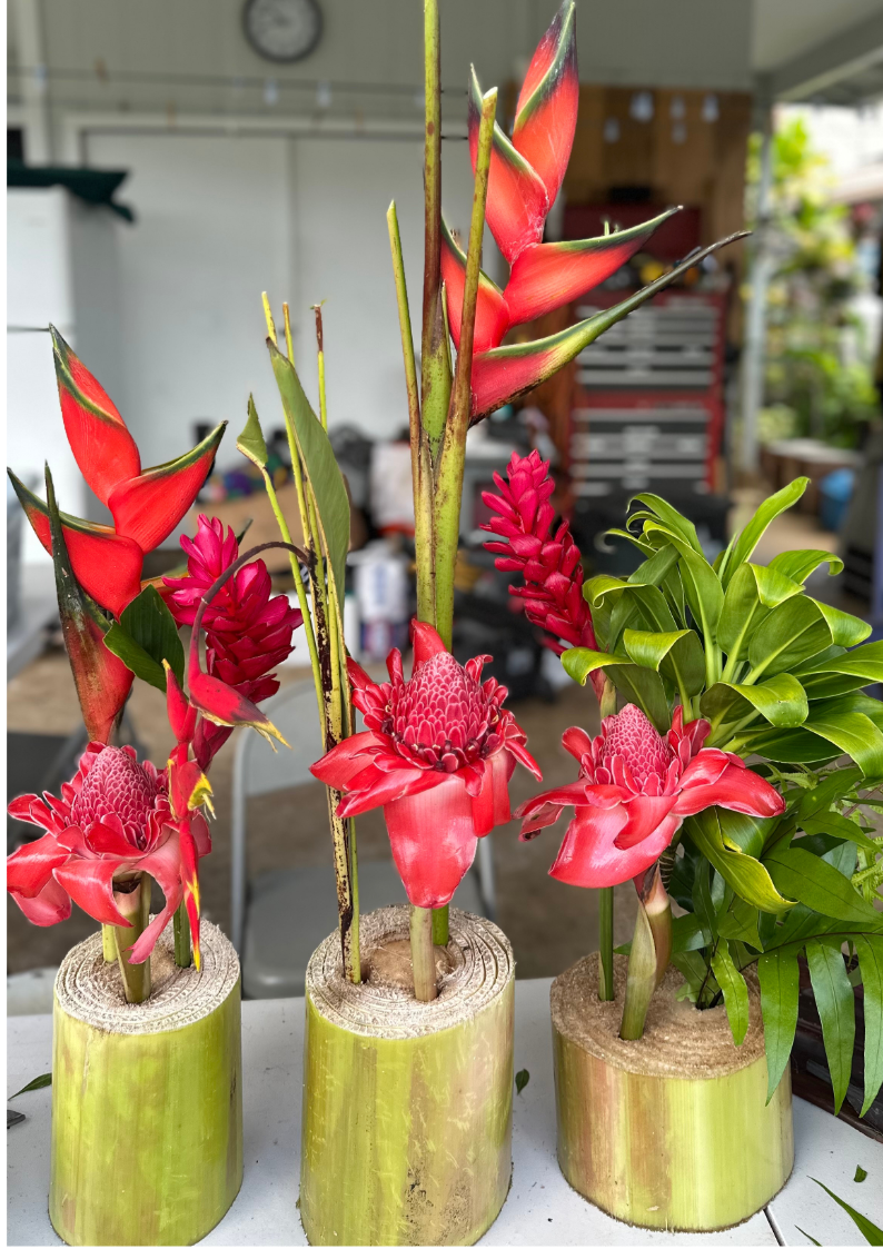 Farm Fresh Florals - FARM TROPICALS